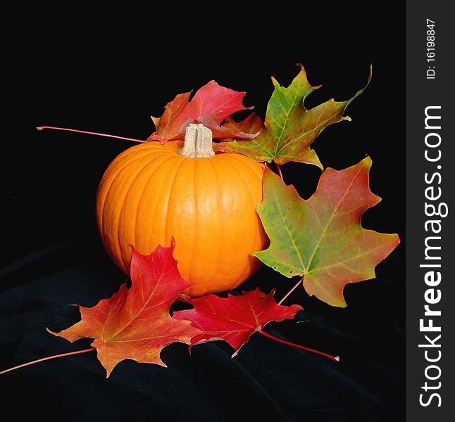 Pumpkin And Leaves On Black