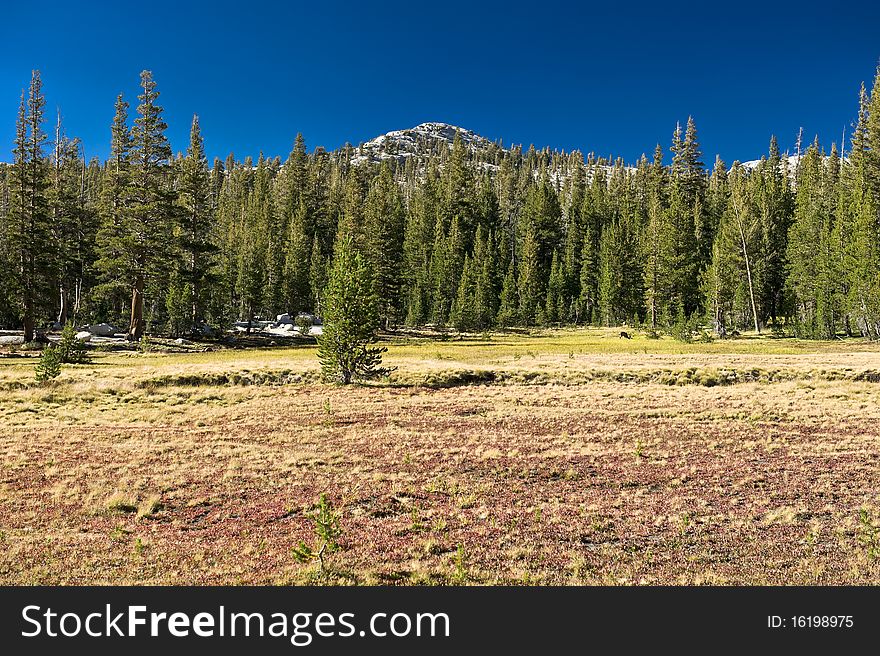 The vast beauty of the Yosemite mountains in the Yosemite National Park in California. The vast beauty of the Yosemite mountains in the Yosemite National Park in California