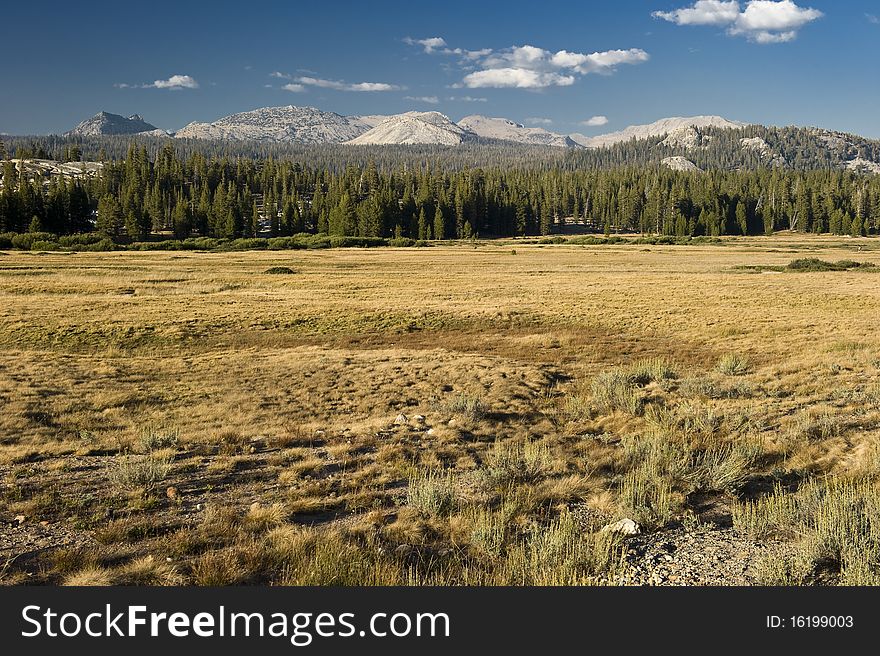 Mountains Of Yosemite National Park