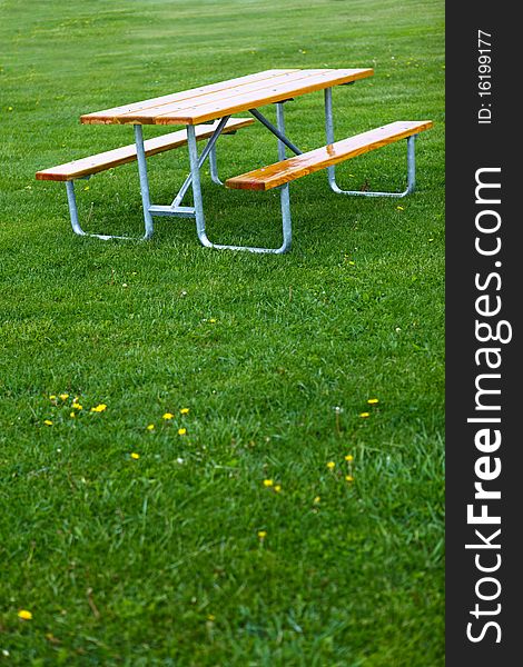 Bench And Lawn