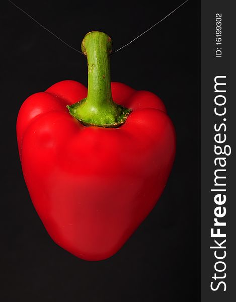 Red peppers on a black background