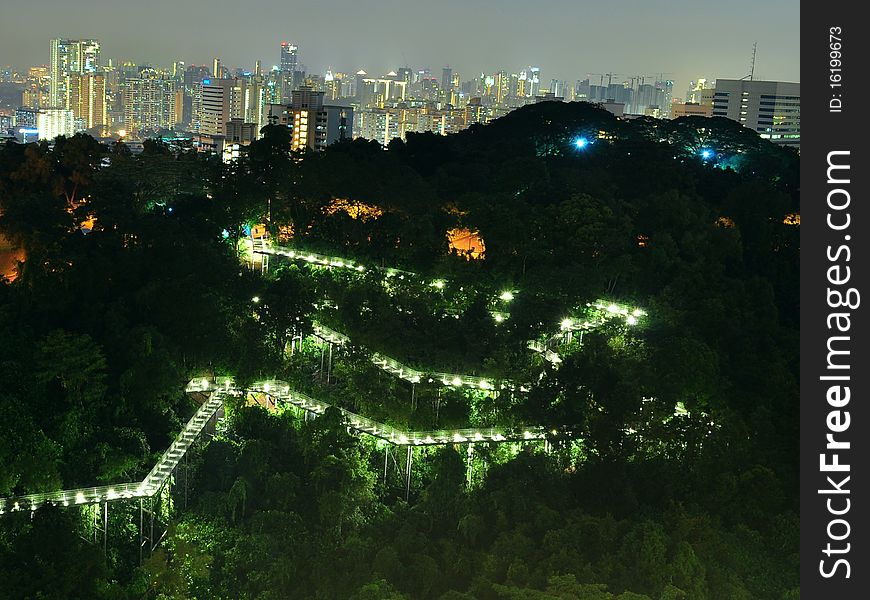 Aerial view of winding forest walkway with cityscape at background