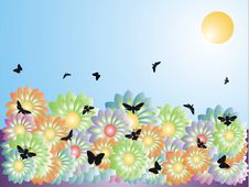 Field With Flowers And Insects Stock Image Field With Flowers And Insects Stock Image