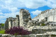 Mayan Ruins Royalty Free Stock Photo