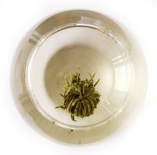 A Glass Of Artisan Blooming Tea Royalty Free Stock Photos
