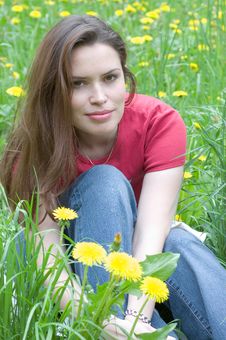 Brunette On A Dandelion Field Stock Photos Brunette On A Dandelion Field Stock Photos