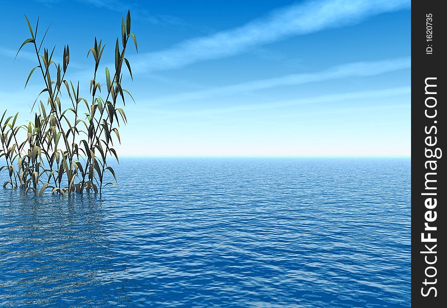 Water plants and lake landscape- digital artwork. Water plants and lake landscape- digital artwork.