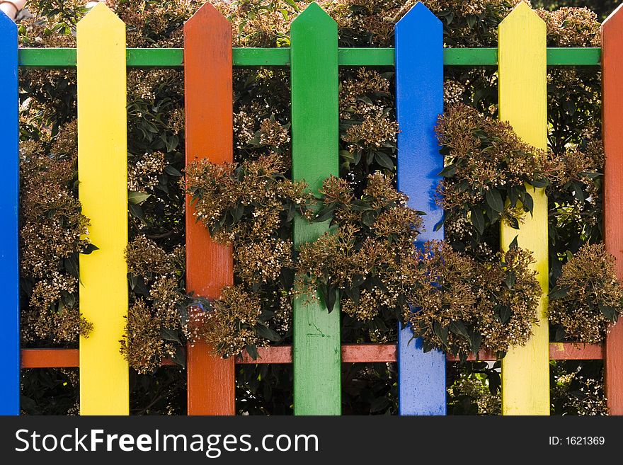 A portion of a colorful fence and bushes behind it. A portion of a colorful fence and bushes behind it