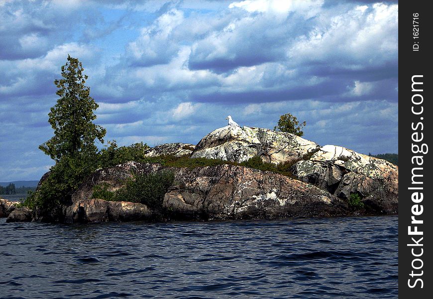 Lone seagull on bedrock on Duncan Lake, Northern Ontario. Lone seagull on bedrock on Duncan Lake, Northern Ontario