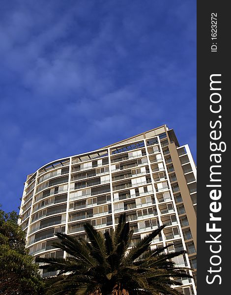 Urban Apartment Building With Paolm Tree, Sydney, Australia