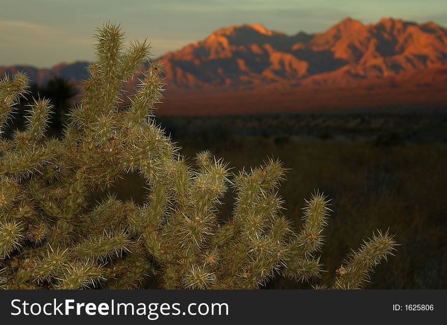 Moment of Sunset, Mojave National Preserve, sotheast California. Moment of Sunset, Mojave National Preserve, sotheast California