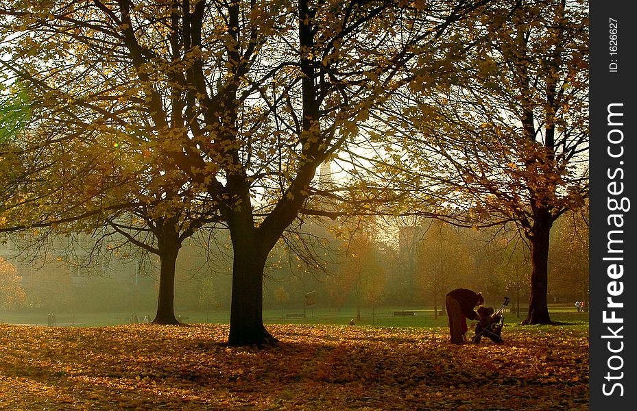 An autumn day morning in the park