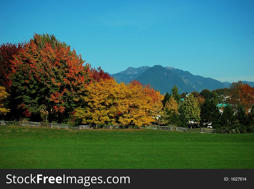 Fall color in playground, vancouver, bc, canaca. Fall color in playground, vancouver, bc, canaca