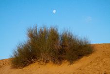Desert Day And Night Royalty Free Stock Image Desert Day And Night Royalty Free Stock Image