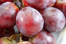 Grapes Royalty Free Stock Images Grapes Royalty Free Stock Images