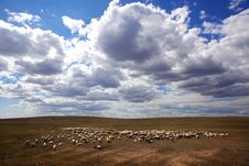 Pasture Royalty Free Stock Images Pasture Royalty Free Stock Images