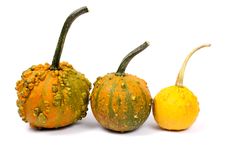 Three Different Pumpkins Stock Photo Three Different Pumpkins Stock Photo