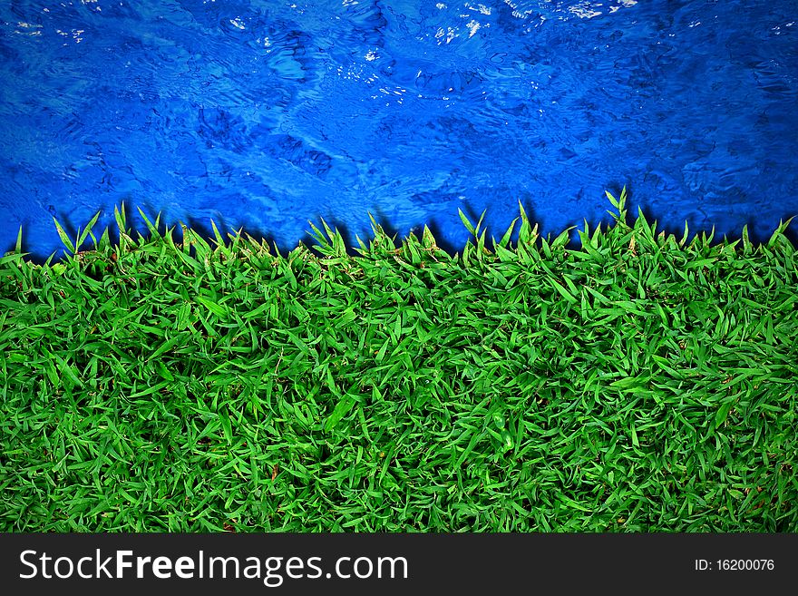 Green grass near blue water