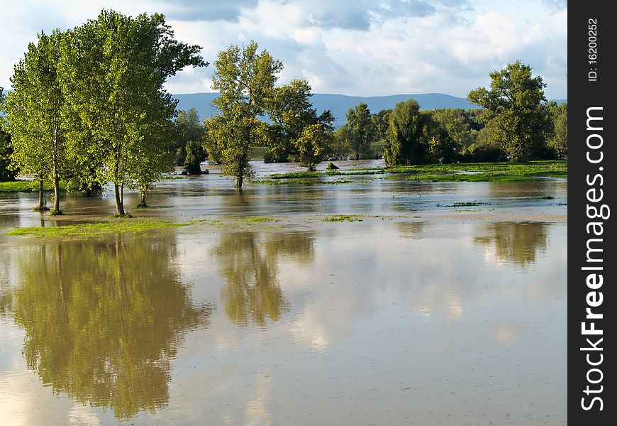 Flooded trees reflecting in water. Flooded trees reflecting in water