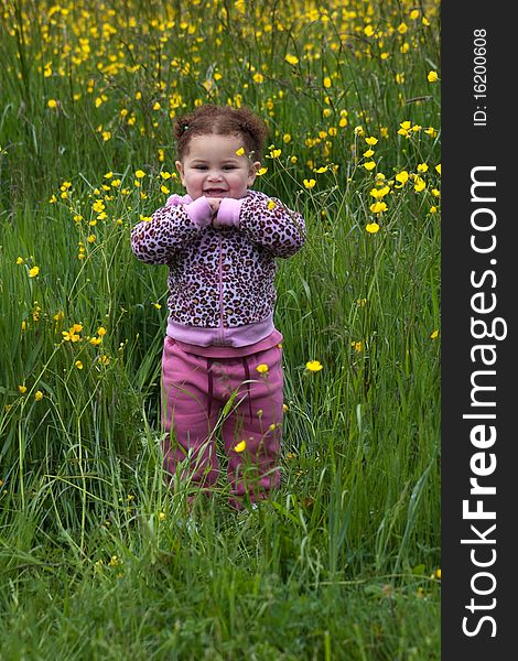 Beautiful young girl in a field of yellow flowers. Beautiful young girl in a field of yellow flowers