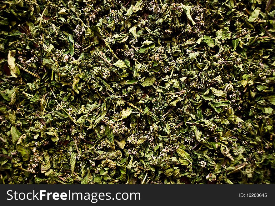 Background of dried leaves and flowers. Background of dried leaves and flowers