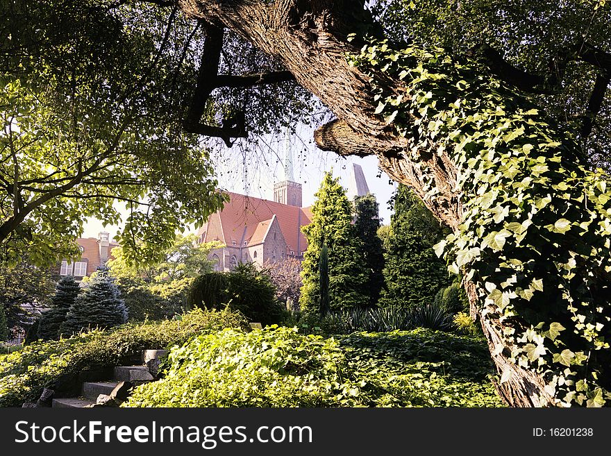 Magnificent Cathedral in Wroclaw /Poland/ framed by old tree. Magnificent Cathedral in Wroclaw /Poland/ framed by old tree