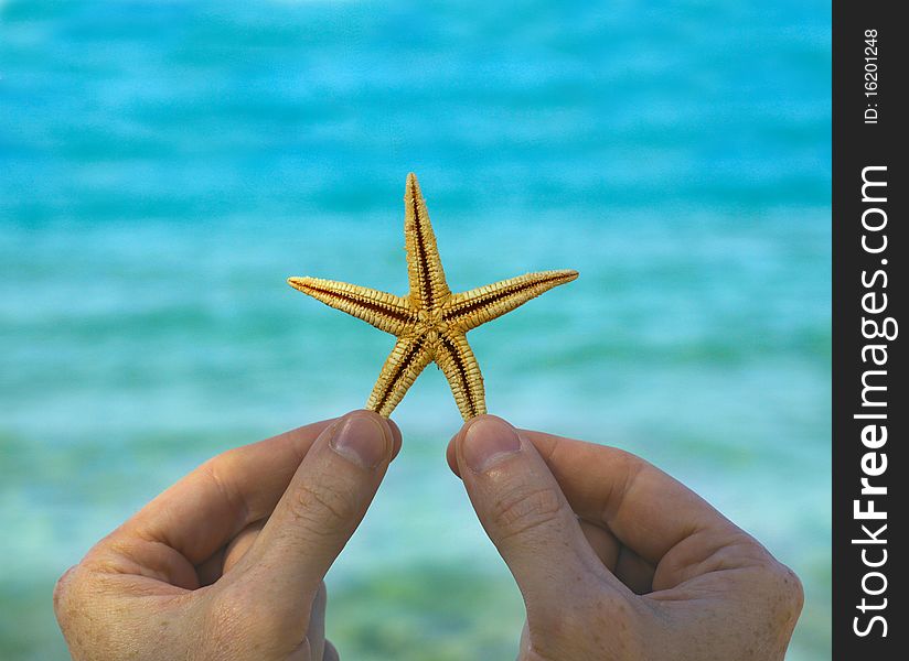 Starfish in hand on sea background