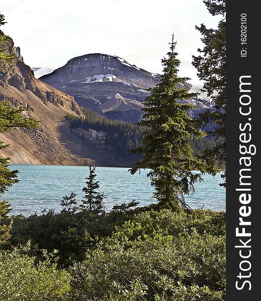 Saskatchewan River banff national park canada mountain and snow