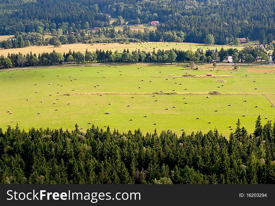 Lots of big haystakcs at the field