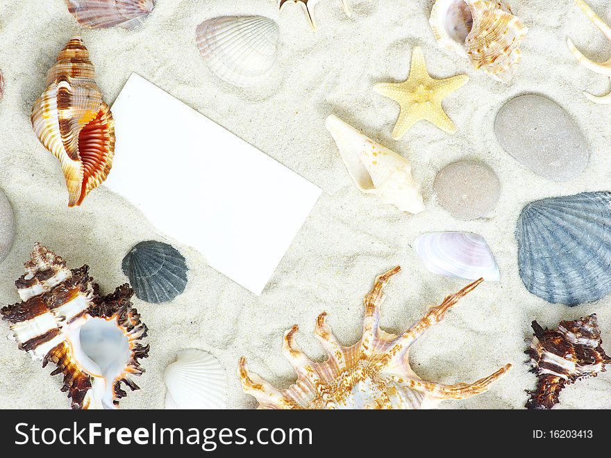 Sea stars and shells an blank postcard on sands