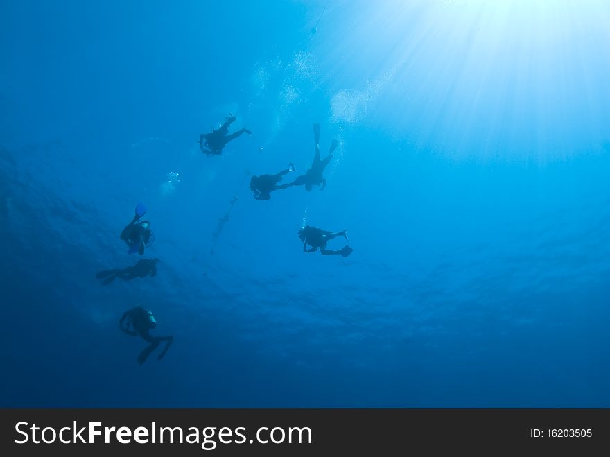 Scuba divers descending into the blue. Near Garden, Sharm el Sheikh, Red Sea, Egypt.