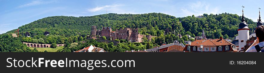 Panorama Of Heidelberg