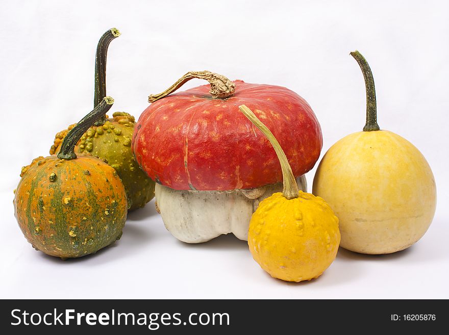 Five different pumpkins over white background
