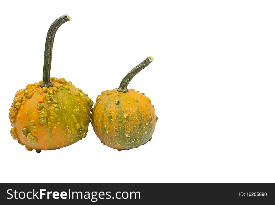 Two different pumpkins isolated on a white background