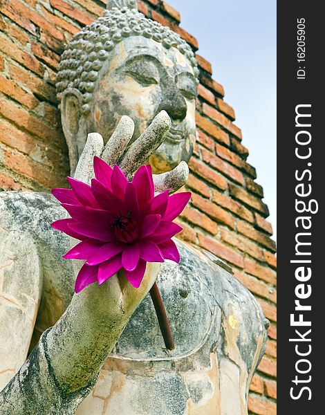 Pink lotus in Buddha hand , old city is Sukothai , Thailand ,. Pink lotus in Buddha hand , old city is Sukothai , Thailand ,