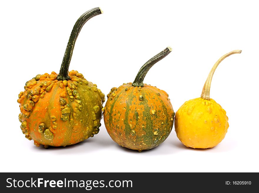Three different pumpkins on a white background