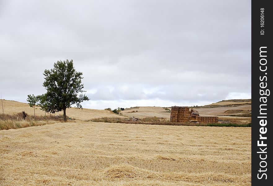 Rural scene in the spanish countryside