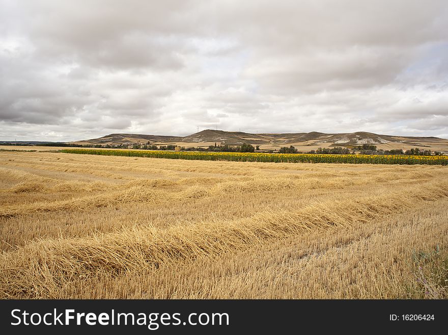 Rural scene in the spanish countryside