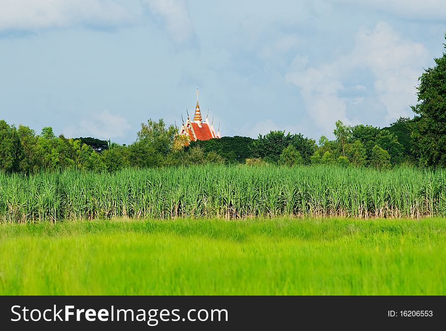 Rural landscape with temple in Thailand