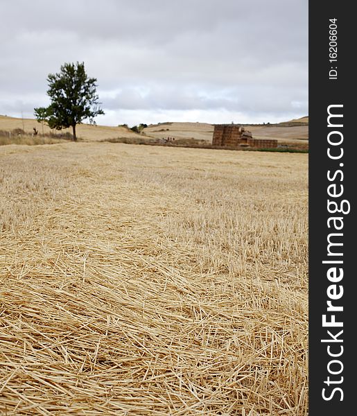 Rural scene in the spanish countryside