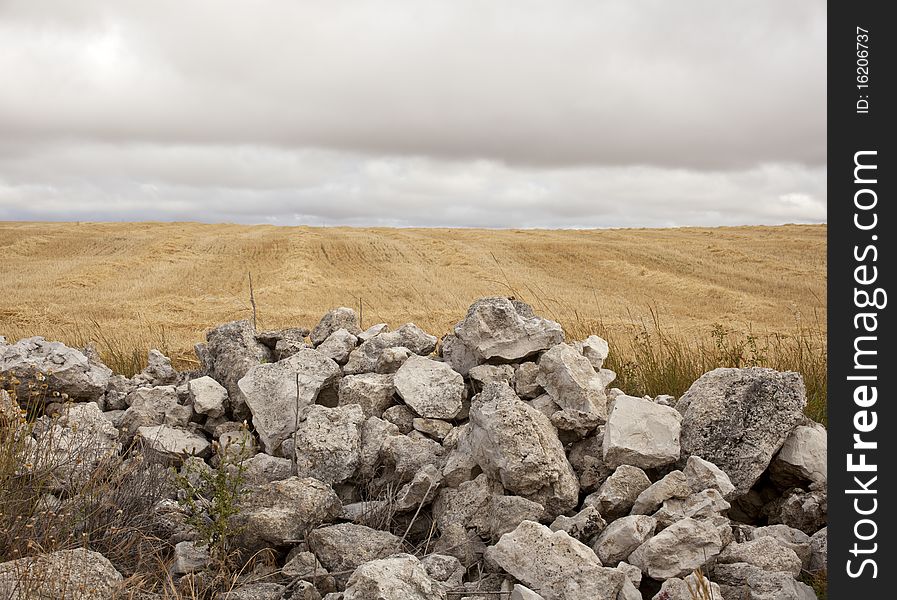 Accumulation of stony on a field