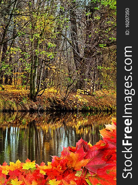 Trees with colored foliage and foliage frame. Trees with colored foliage and foliage frame