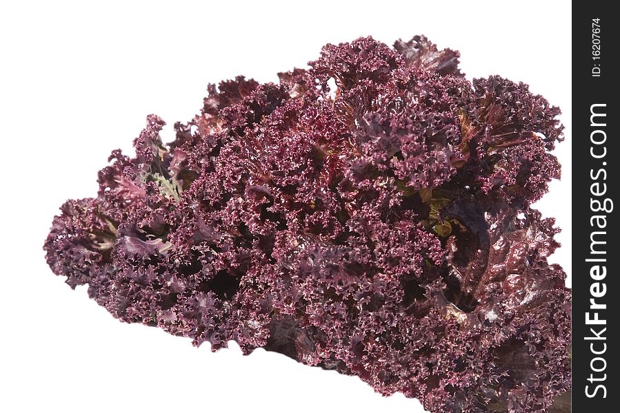 Purple lettuce salad on a white background