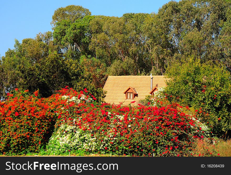 A village house, surrounded by trees and flower bushes. A village house, surrounded by trees and flower bushes.