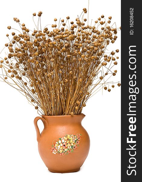 Flax (Linum usitatissimum) in the pottery jug on white background