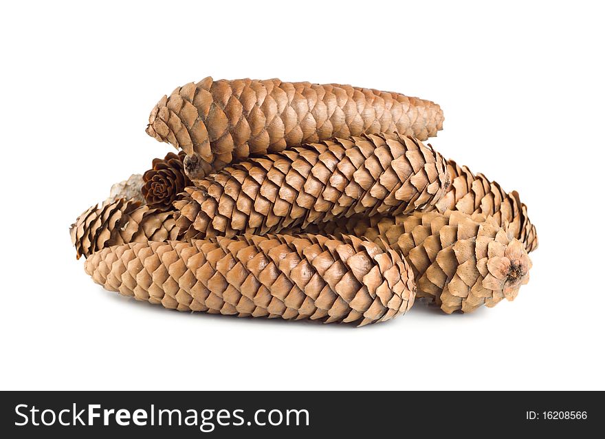 Dry pine cones isolated on white background