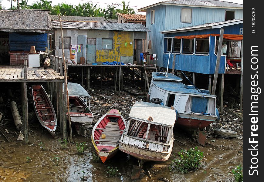 Typical scene of the Amazon River - Brazil. Typical scene of the Amazon River - Brazil