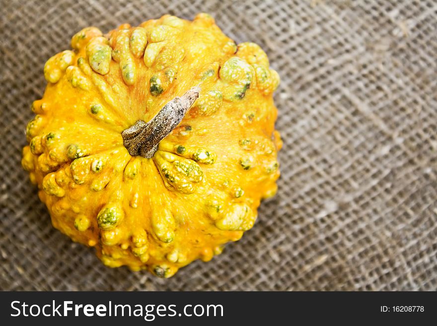 Decorative pumpkin on sacking background
