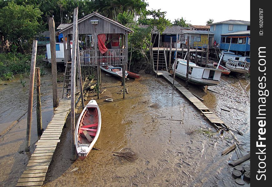 Typical scene of the Amazon River - Brazil. Typical scene of the Amazon River - Brazil