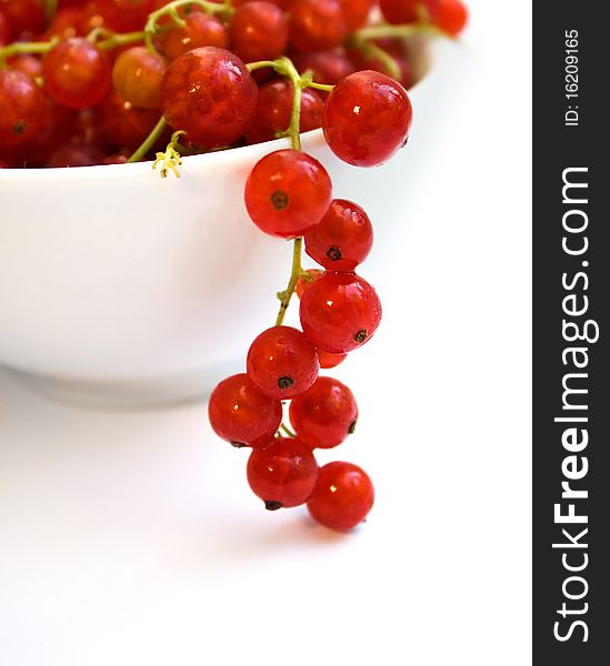 Fresh red currant on white bowl over white background